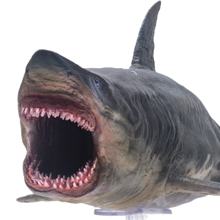 PNSO巨齿鲨巴顿恐龙大王成长陪伴模型10