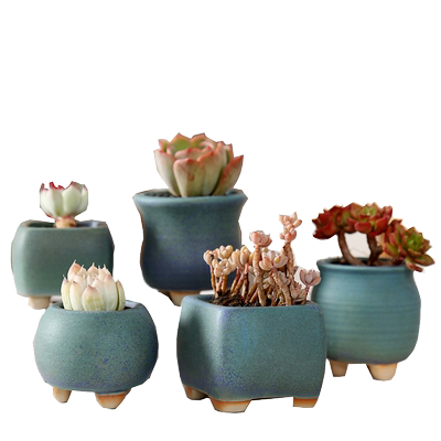 陶瓷特价包邮清仓透气多肉花盆