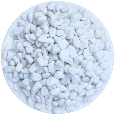 多肉铺面石水培白石子白色鹅卵石花盆养花装饰鱼缸铺底造景小石子