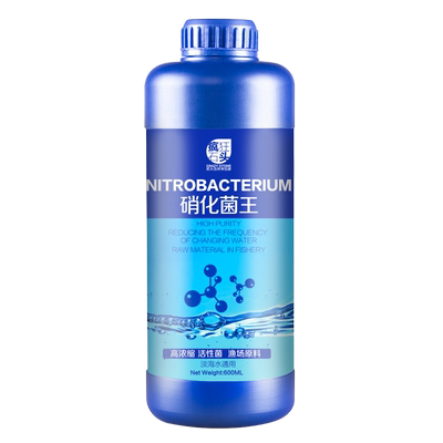 鱼缸净水套餐12小时水质清澈见底
