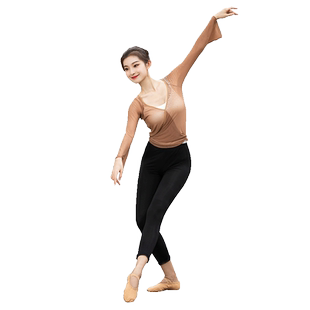 菲梵舞后一片裙古典舞练功服套装民族芭蕾舞蹈舞蹈服身韵纱衣套装