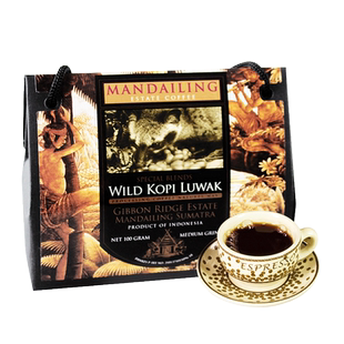kopi luwak印尼原装进口猫屎咖啡曼特宁麝香猫咖啡粉100g手提礼盒