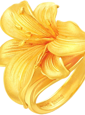 赛菲尔足金999.9黄金戒指