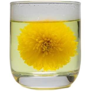 买二送一轩德皇菊大皇菊花草茶一朵一杯装菊袋装尝鲜装