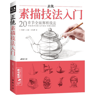 经典全集 正统素描技法入门 零基础自学教程书籍铅笔绘画画册临摹范本单体石膏几何体静物人物成人初学者起步结构教材 杨建飞