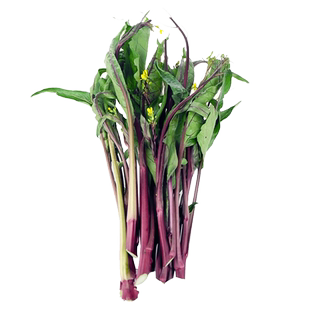 红菜苔种子红菜白菜苔增城一号迟甜菜心蔬菜种孑农家四季家庭种植