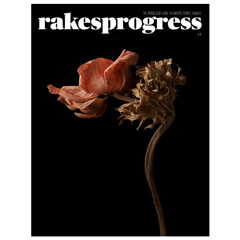 【订阅】 rakes progress 园林植物花卉生活杂志 英国英文原版 年订2期 E307 善本图书