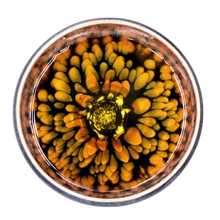 滋心堂 郑勇龙颜建盏茶杯彩金油滴茶盏主人杯手工原矿茶具品茗杯