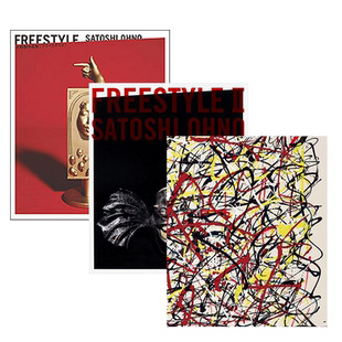 【现货】大野智作品集 FREESTYLE 3本集合 SATOSHI OHNO ARASHI岚大野智 日本原版 艺术作品集