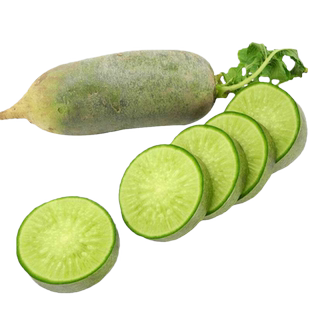 天津沙窝萝卜种籽甜脆水果青萝卜种子大全春秋季凤梨萝卜蔬菜种孑