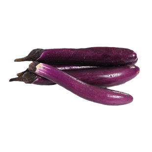 紫杭茄六号线茄子种子苗高产耐旱抗病春季夏四季黑紫色长茄子种籽