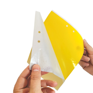 粘虫板黄板双面小飞虫灭杀神器大棚灭苍蝇贴纸果园果蝇蚊子诱捕器