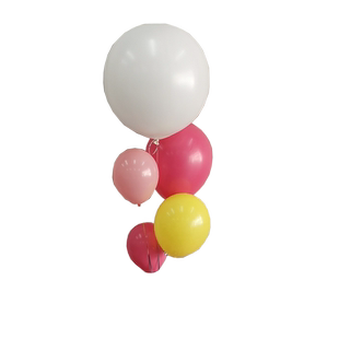 进口气球圆形维曼E牌12英寸儿童生日浪漫婚房派对布置装饰10个