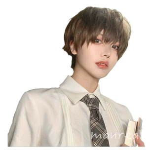 漫真假发男短发正太基佬假毛男生日常哑光万用cos韩版帅气收脸