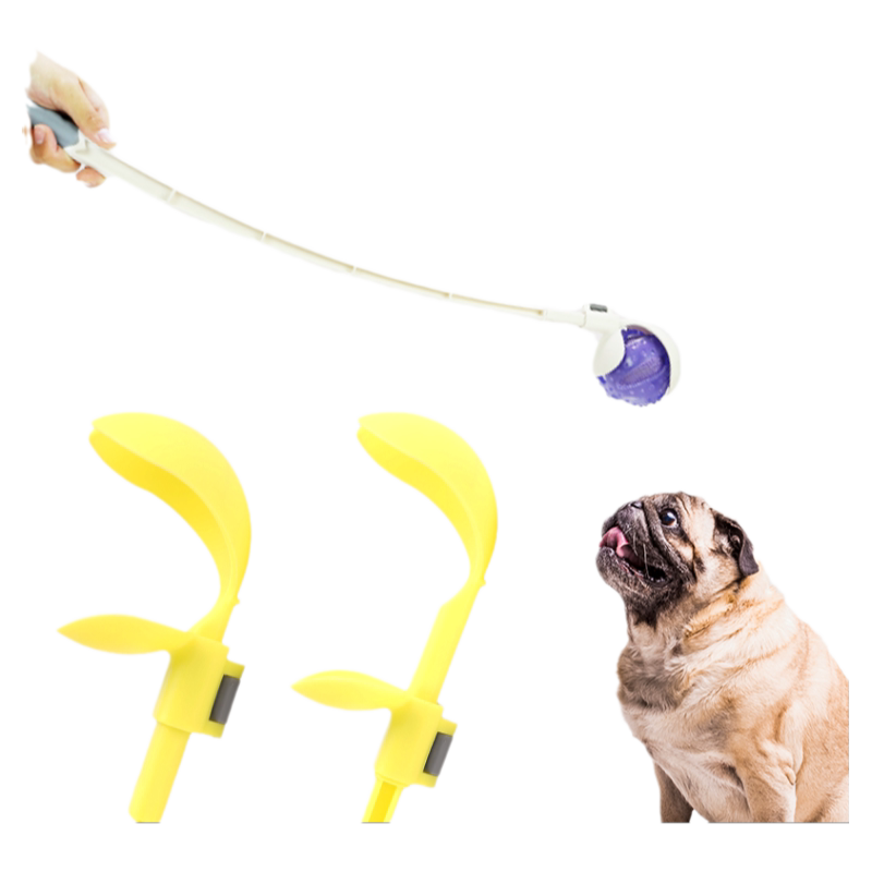 训练宠物狗狗训练休普