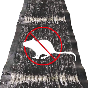 粘鼠板超强力正品大沾粘老鼠贴胶黏灭抓捕鼠驱鼠神器家用药灭鼠毯