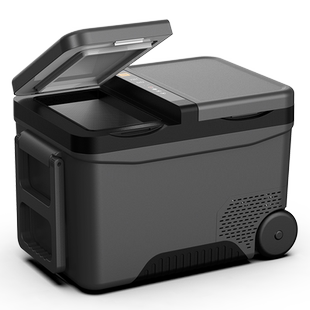 骑炫双门双温双控车载冰箱压缩机大货车制冷藏冷冻车家两用12V24V