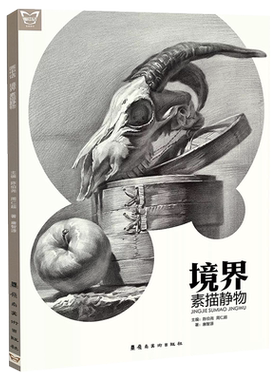 境界素描静物 画中话唐智源单体组合静物结构步骤对照临摹道具罐子范画对临素材美院联考高考零基础美术教程入门教材画册范本书籍