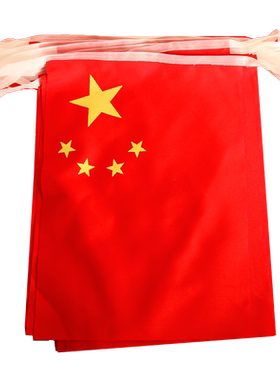 8号7号中国小国旗串旗