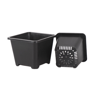高宅多肉花盆景天小方盆塑料小黑方加厚育苗盆花卉绿植鲜花简约