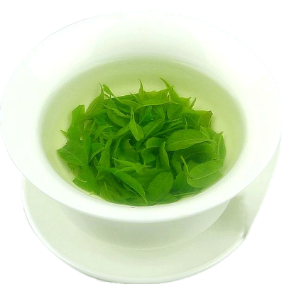 小叶苦丁茶特2025新茶