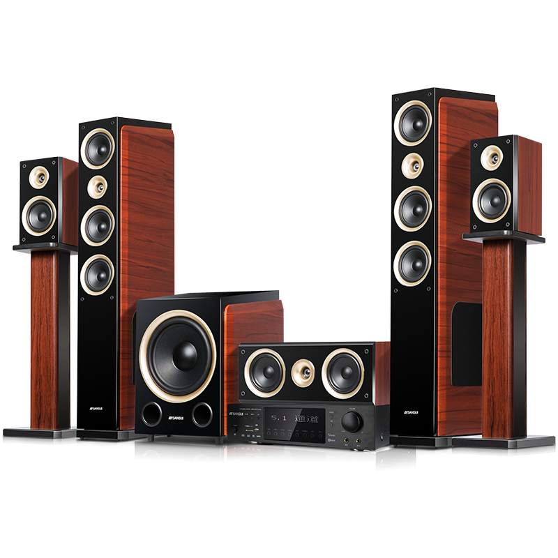 Sansui/山水5.1家庭影院音响