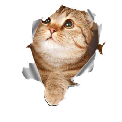 3d可爱小猫咪立体逼真遮划痕车贴