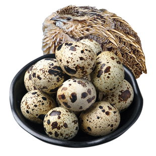顺丰包邮100枚农家生鹌鹑蛋新鲜孕妇宝宝辅食特产杂粮散养鸟卤蛋