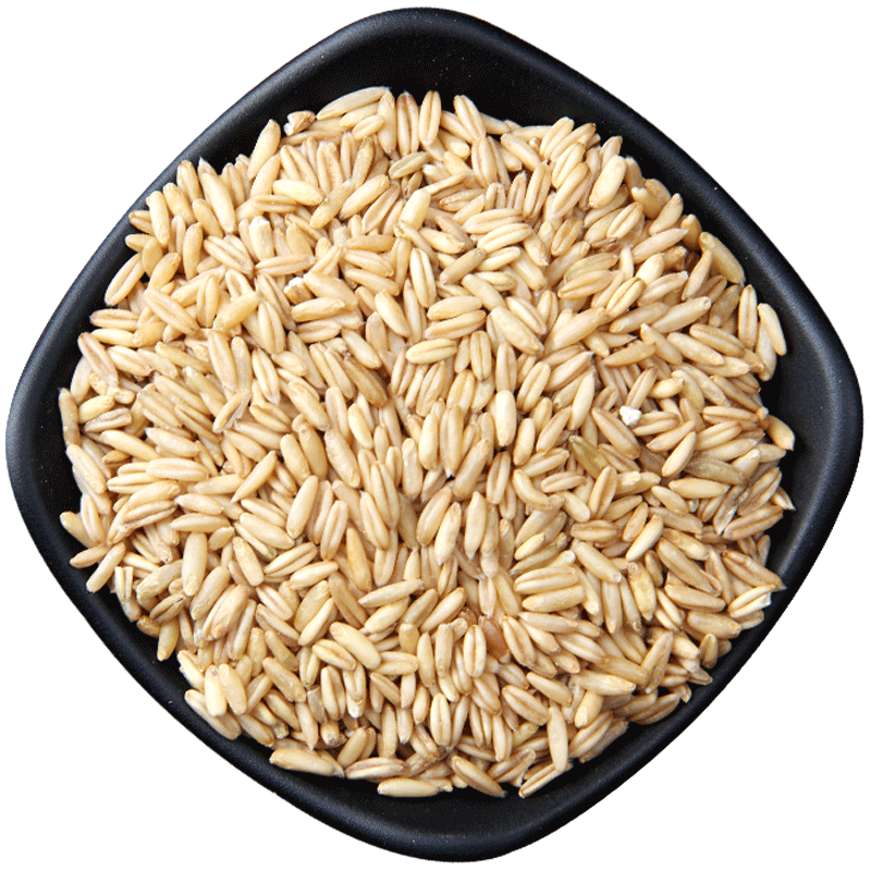 500g*5野三坡燕麦米燕麦仁农家裸燕麦新米胚芽米燕麦粒杂粮粗粮