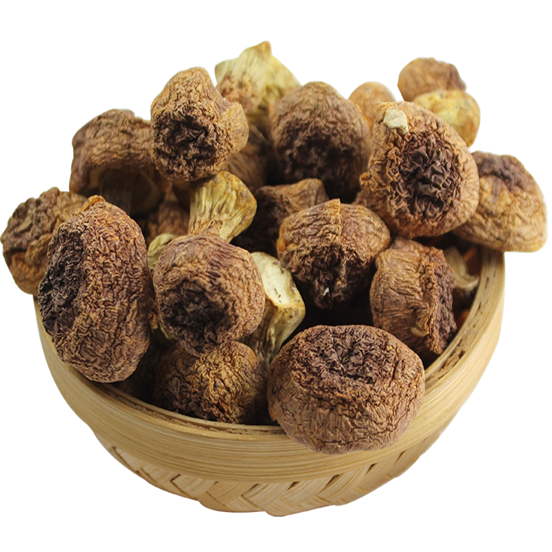 农家自产食用菌姬松茸菇