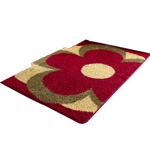 进门地毯客厅入户门地垫门垫卧室脚垫家用垫子门口房间床边毯定制