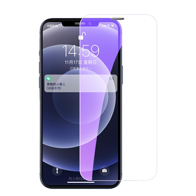 苹果十二防尘网iphine全身手机膜