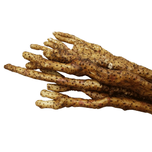 新鲜野外生长生长铁棍山药 正宗太行山坚硬土质野外生长5斤装特产