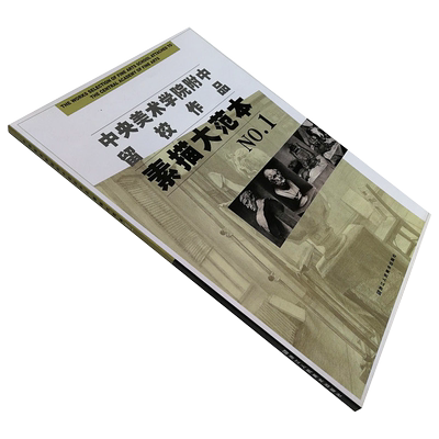 中央美院附中留校作品素描大范本