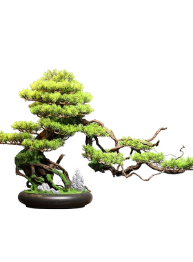 新中式迎客松摆件盆景实木玄关