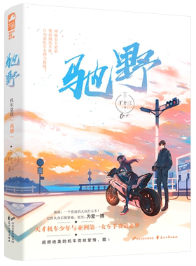 现货【赠立卡+海报等】 驰野 丁十三 大鱼文化女生都市青春文学热血赛车竞技爱情超甜高甜宠文言情小说书籍