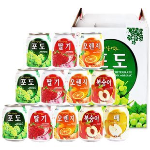 九日韩国进口果汁饮料 富含果粒果肉整箱多口味组合装 238ml*12罐