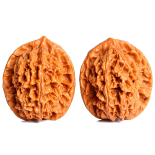 文玩把玩核桃金刚纹公子帽大刺核桃高抛狮子头涨手健身把玩球核桃