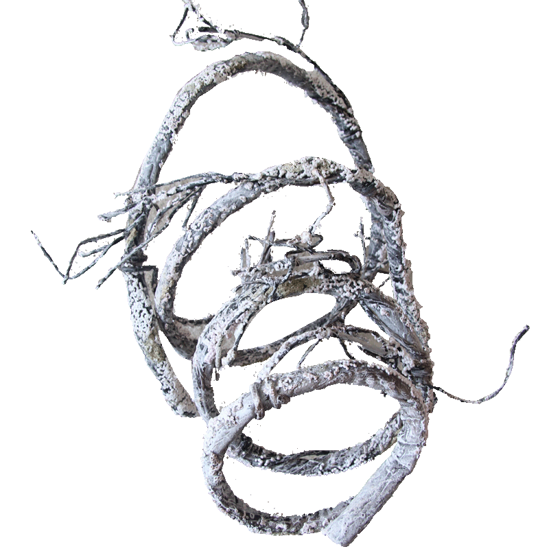 仿真树藤枯藤装饰设计影楼藤条