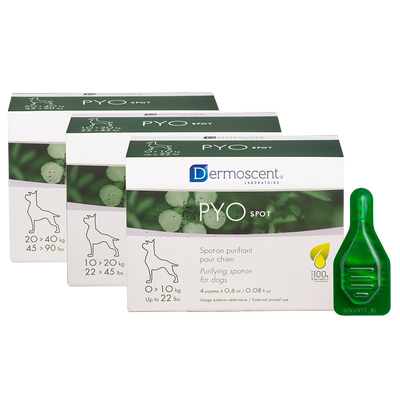 法国德美丝派奥点犬用净化狗狗