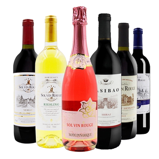 红酒整箱6支装礼盒气泡酒女士果酒起泡酒半甜型干白红葡萄酒批发