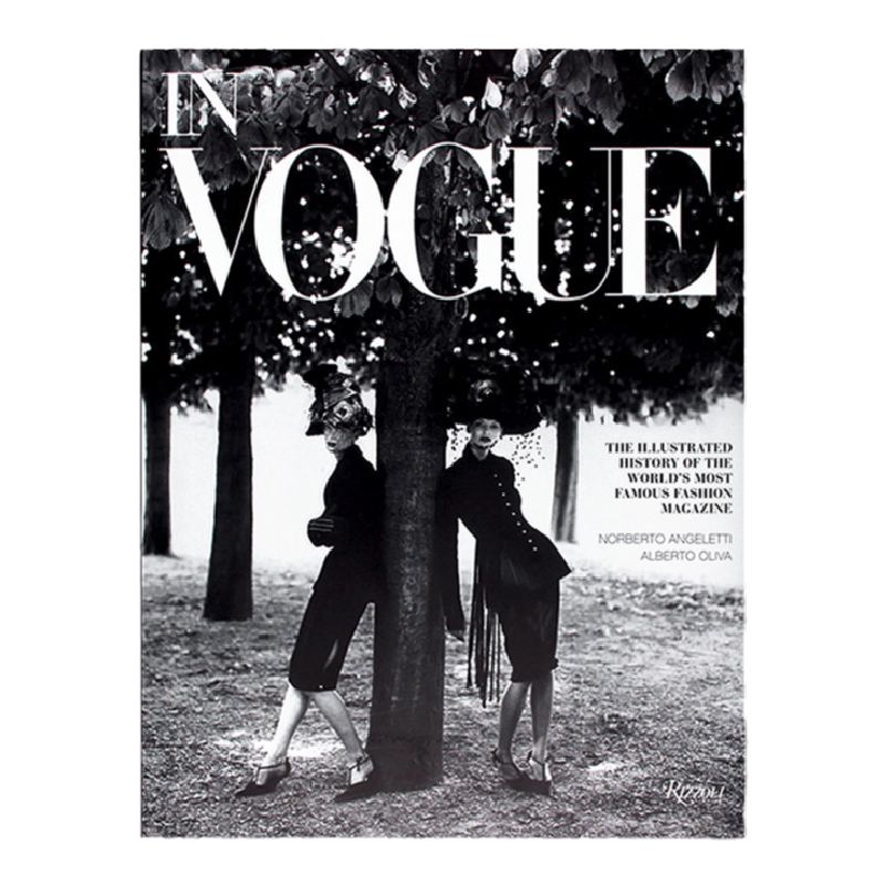 现货包邮 英文原版 In Vogue 《Vogue》杂志经典时尚摄影照片回顾 Vogue经典潮流时尚艺术史