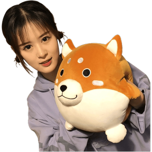 柴犬毛绒玩具狗布娃娃公仔可爱午睡抱枕女孩超萌韩国儿童女生玩偶