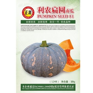 和利农正源利农扁圆南瓜种子小磨盘板栗南瓜种籽谢花面瓜蔬菜种孑