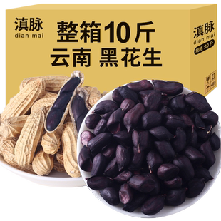 新货滇脉云南黑花生带壳生的炒熟黑皮花生米普洱孟连黑花生