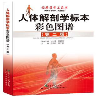 人体解剖学标本彩色图谱第2版  附赠临床实用MRI掌中宝 钟世镇 650幅真实人体标本实拍图 全彩人体解剖彩色学图谱 实用解剖图谱