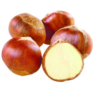 生新鲜小毛栗子野生山栗子包邮板栗生栗子当季同河北迁西油栗