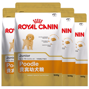 皇家贵宾泰迪美毛幼犬狗粮