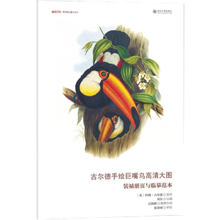 古尔德手绘巨嘴鸟高清大图：装裱册页与临摹范本 博物文库 博物画临摹与创作 北京大学旗舰店正版