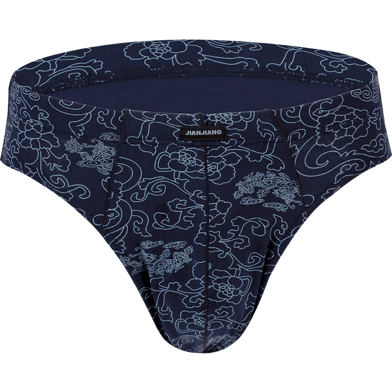 健将男士内裤莫代尔三角裤中腰性感裤头青年裤衩春夏透气2条装